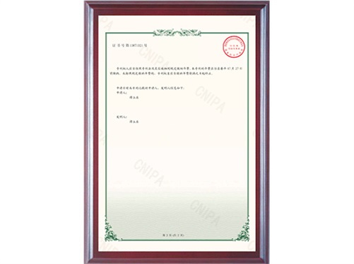 邵陽(yáng)市水利水電建設有限公司2020215043119一種水利工程震動(dòng)夯_2